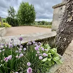 Le Margeride- Corps De Ferme - 3500m2 De Terrain * Ruynes-en-Margeride