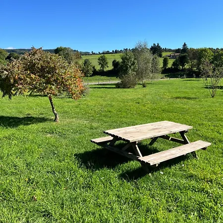 Le Margeride- Corps De Ferme - 3500m2 De Terrain * Ruynes-en-Margeride