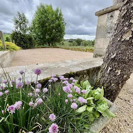 Le Margeride- Corps De Ferme - 3500m2 De Terrain * Ruynes-en-Margeride