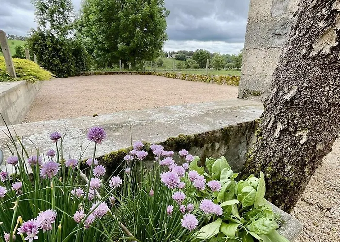 Le Margeride- Corps De Ferme - 3500m2 De Terrain * Ruynes-en-Margeride